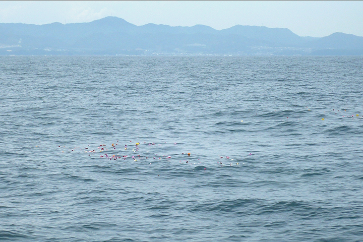 待ちに待たれた海洋散骨