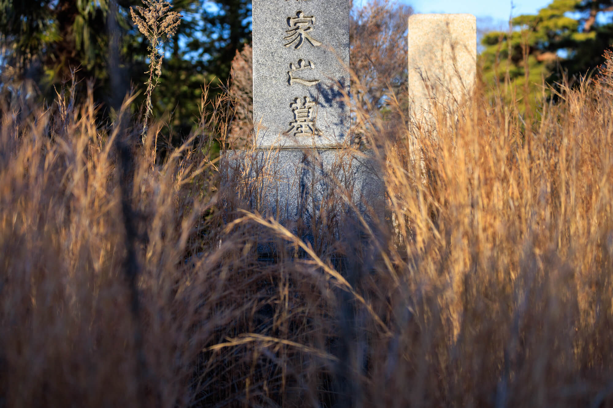 墓じまい後に散骨をするのが向いている人は？